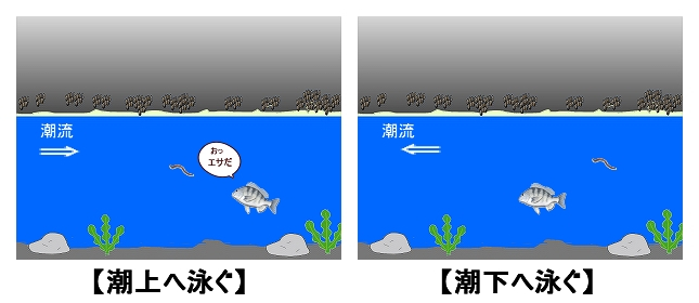 魚の移動方向