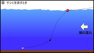 ハワセ釣りの流し方4